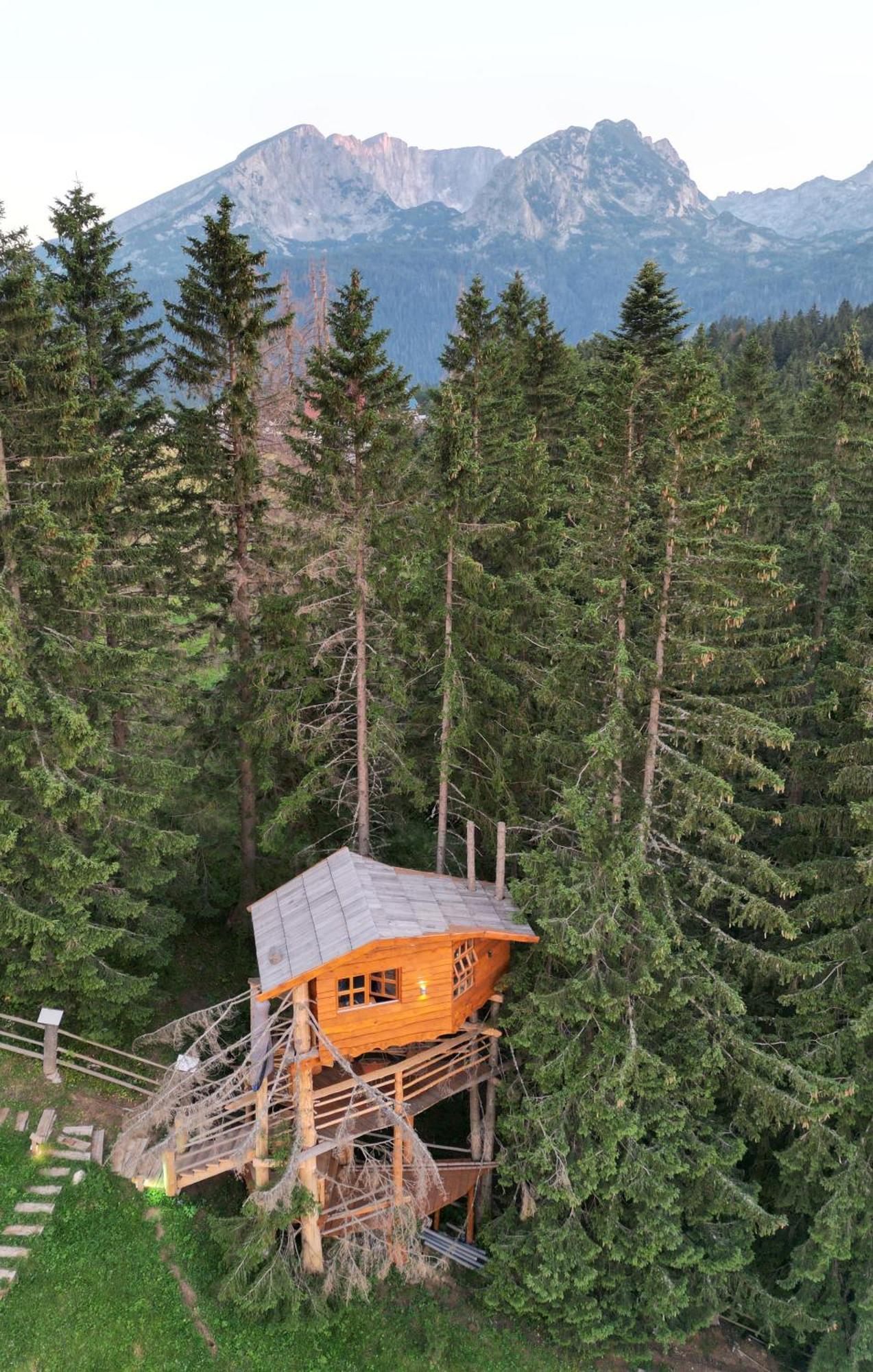 Guesthouse Planinarski Dom Neviden'O Žabljak Exteriör bild