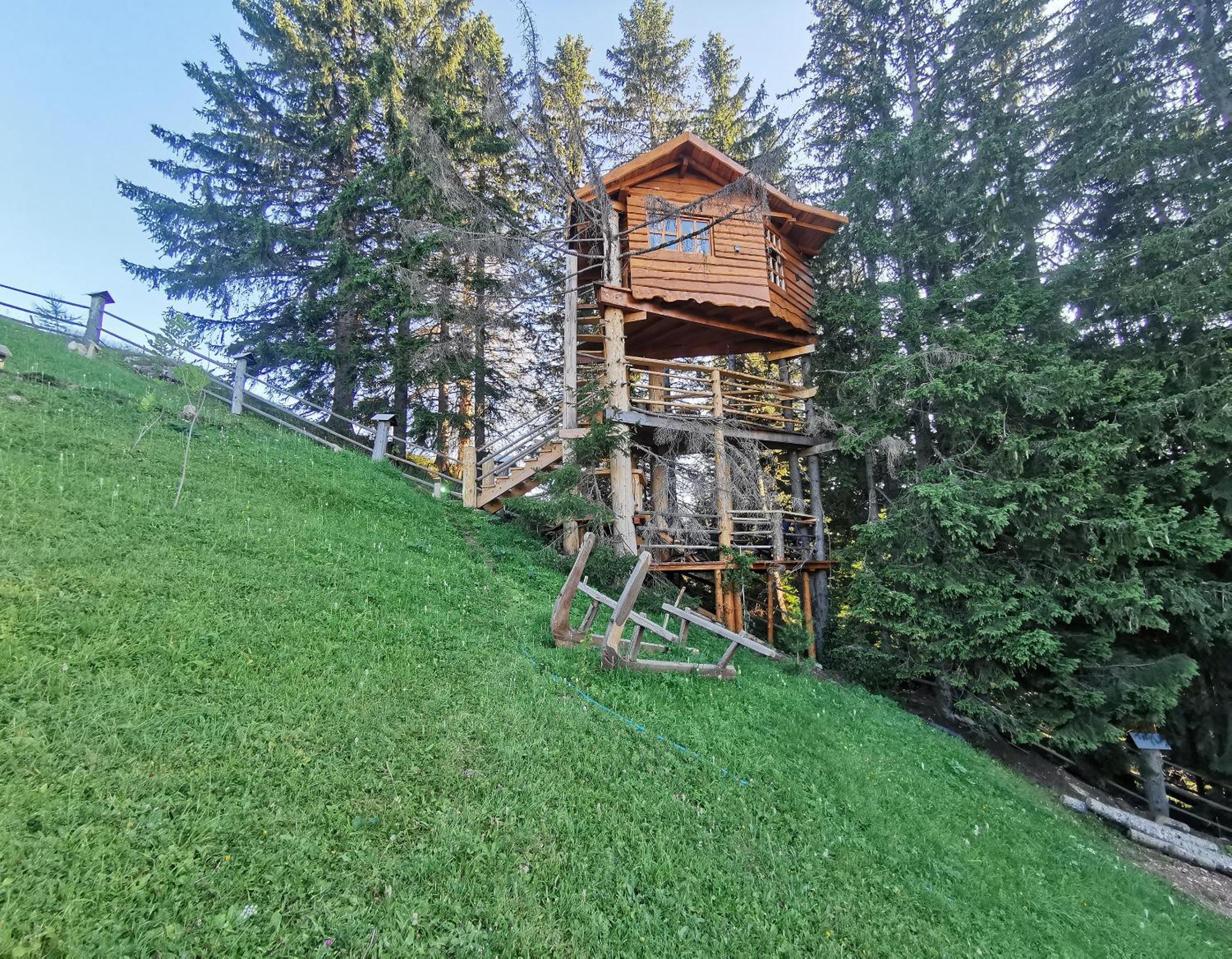 Guesthouse Planinarski Dom Neviden'O Žabljak Exteriör bild