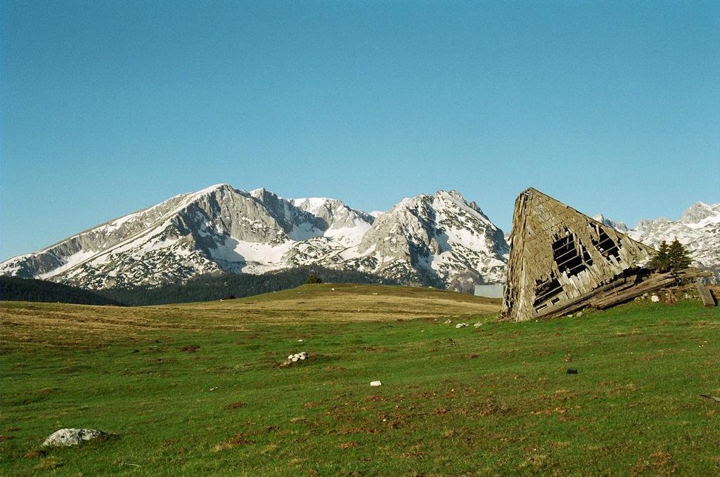 Guesthouse Planinarski Dom Neviden'O Žabljak Exteriör bild