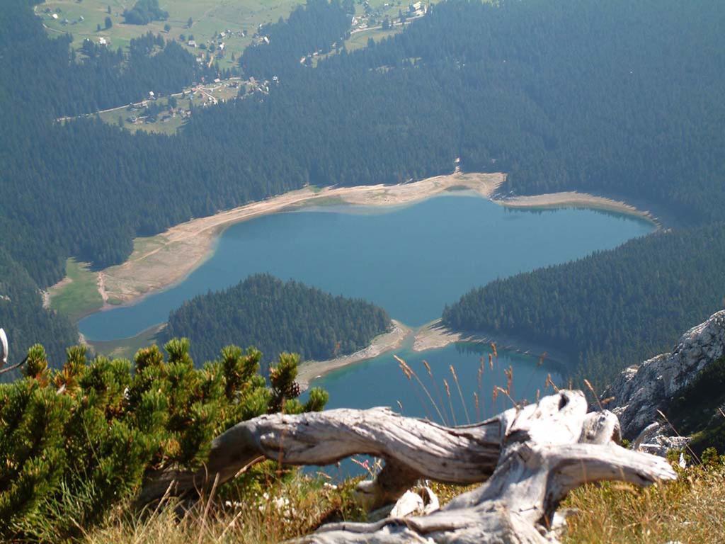 Guesthouse Planinarski Dom Neviden'O Žabljak Exteriör bild