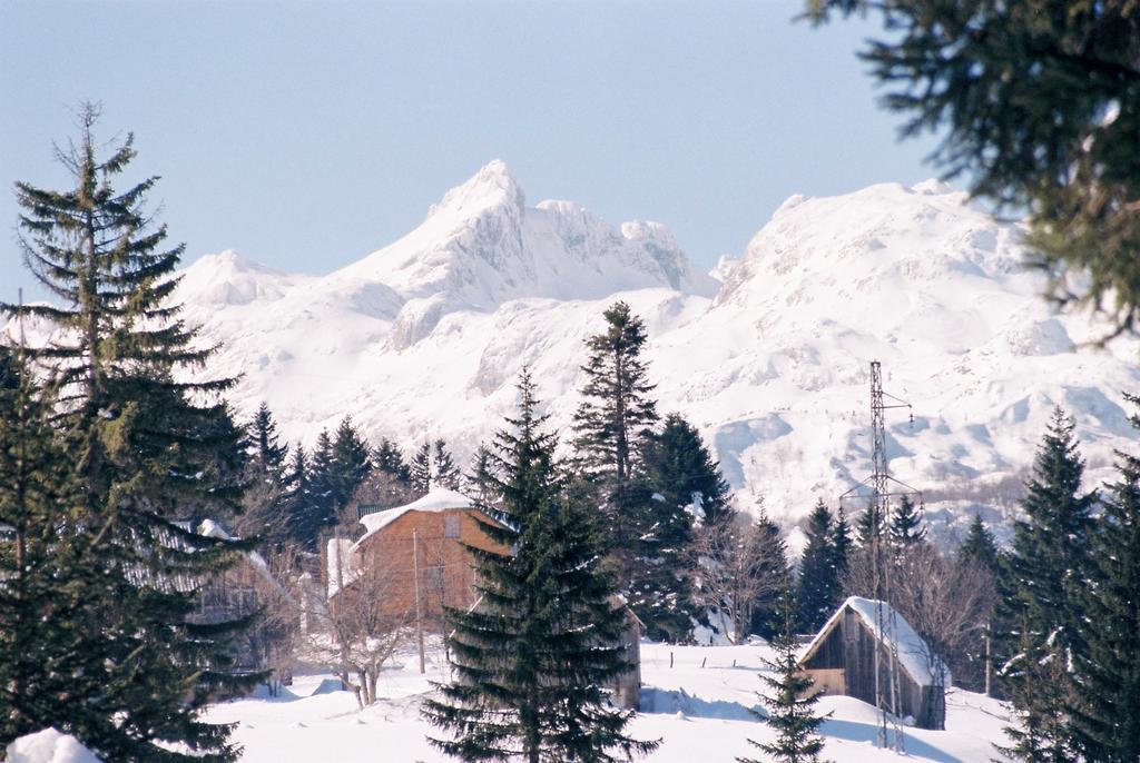 Guesthouse Planinarski Dom Neviden'O Žabljak Exteriör bild