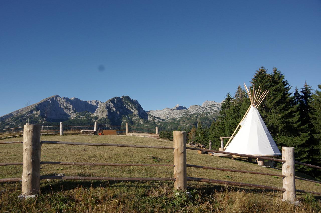 Guesthouse Planinarski Dom Neviden'O Žabljak Exteriör bild