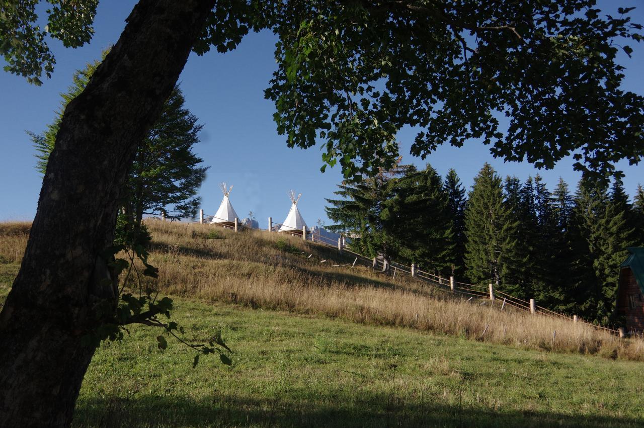 Guesthouse Planinarski Dom Neviden'O Žabljak Exteriör bild