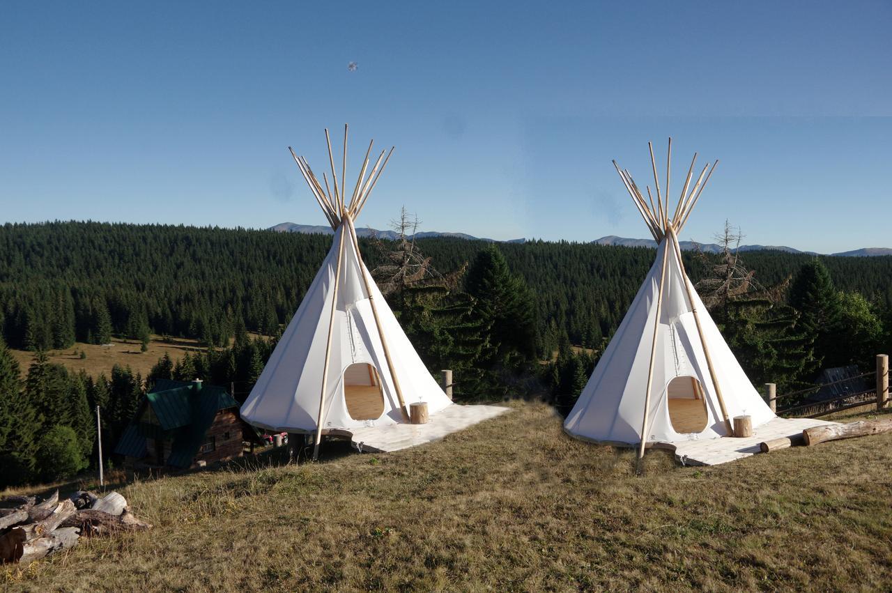 Guesthouse Planinarski Dom Neviden'O Žabljak Exteriör bild