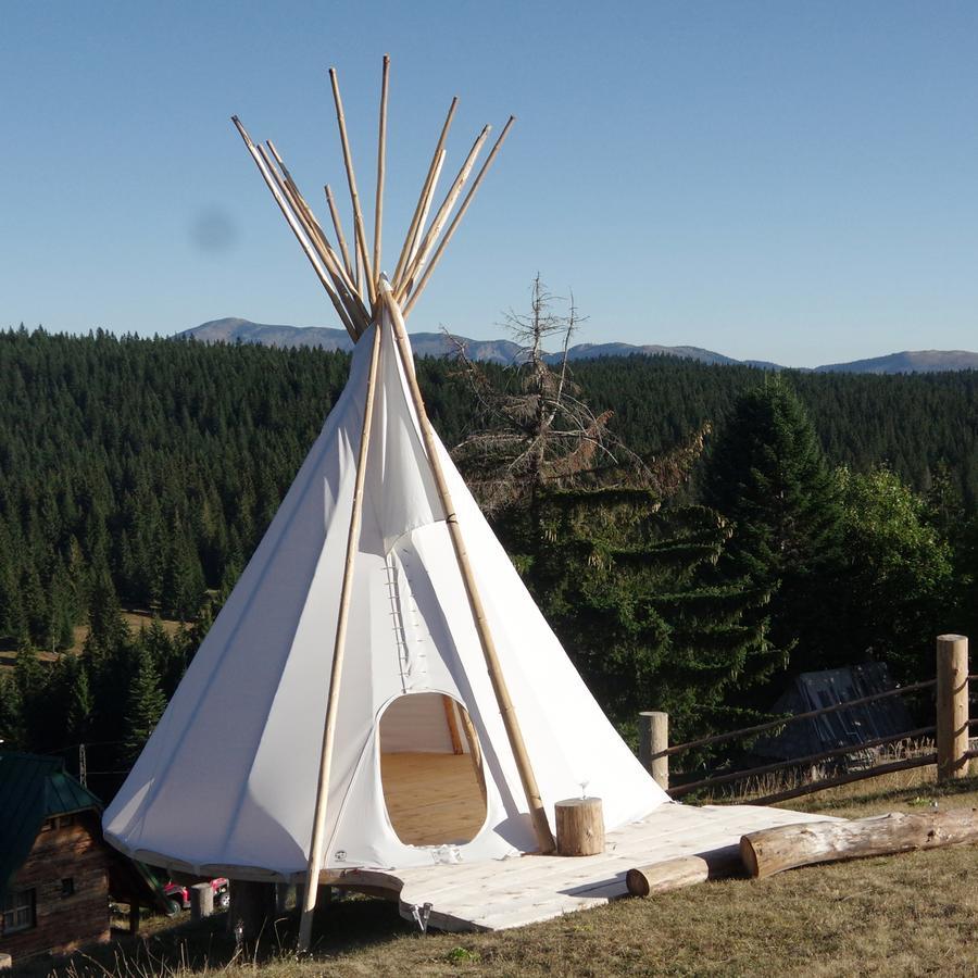 Guesthouse Planinarski Dom Neviden'O Žabljak Exteriör bild