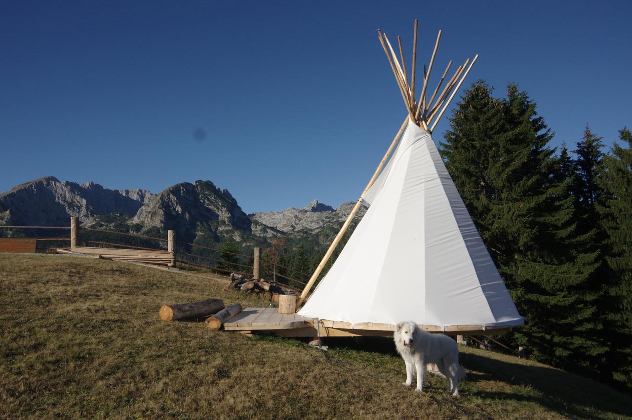 Guesthouse Planinarski Dom Neviden'O Žabljak Exteriör bild