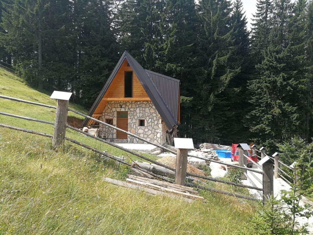 Guesthouse Planinarski Dom Neviden'O Žabljak Exteriör bild