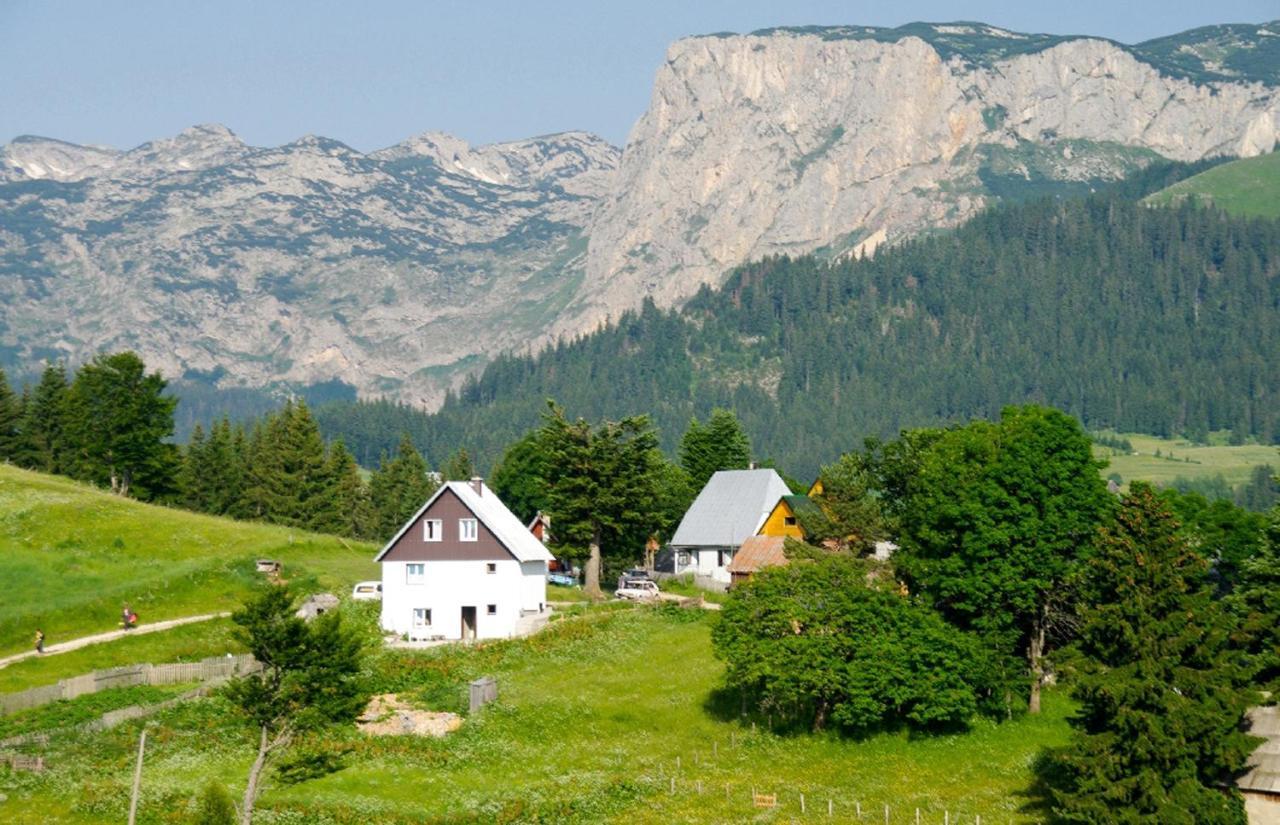 Guesthouse Planinarski Dom Neviden'O Žabljak Exteriör bild